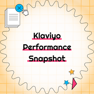 Klaviyo Performance Snapshot
